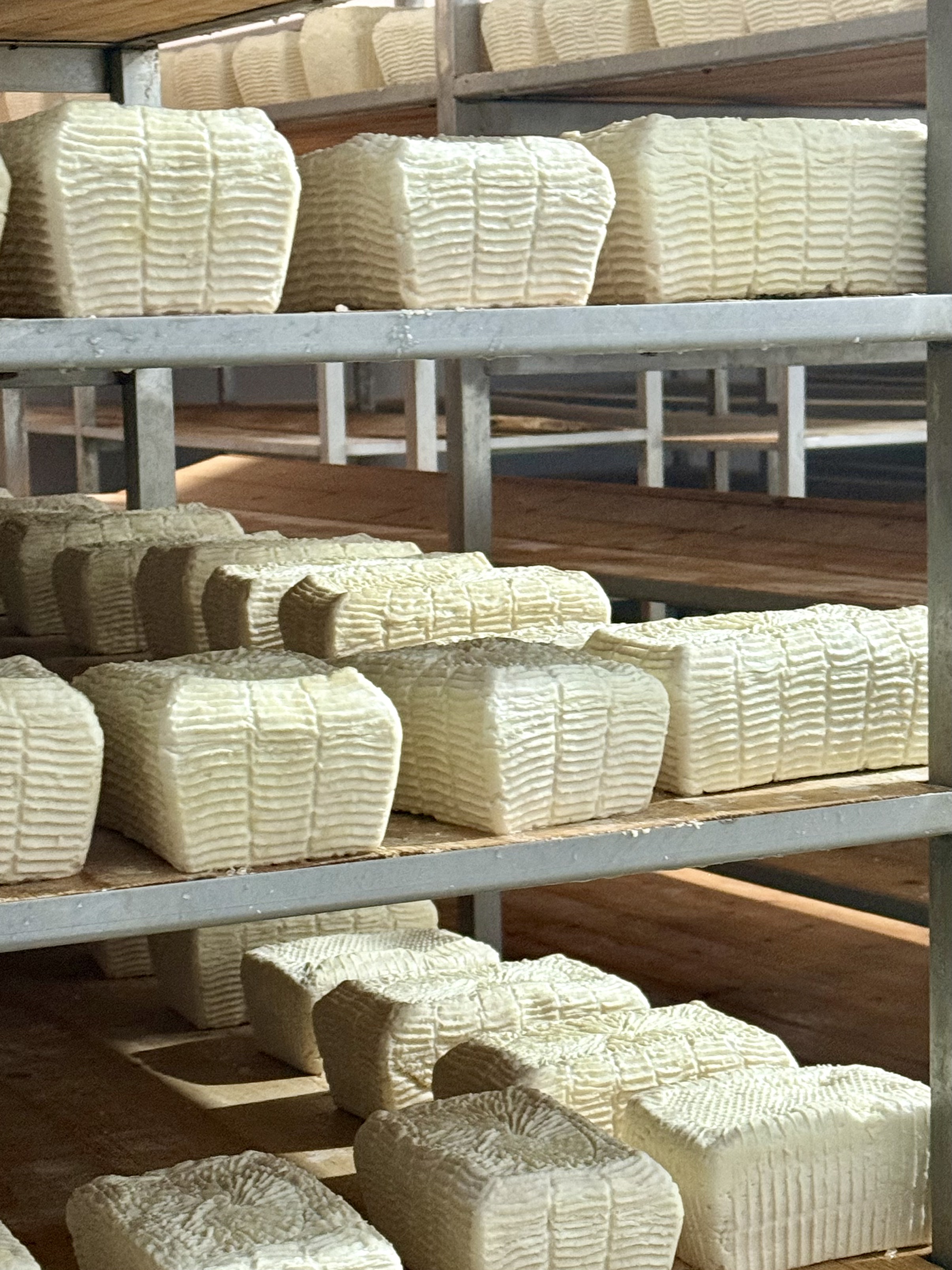 Zakynthian oil cheese